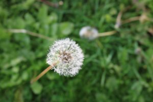 こめかみハゲの原因と対策にはどんなものがある？